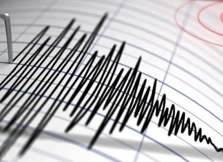 Notificari cutremur INFP Twitter si Telegram