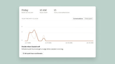 How To Use Claude's Reflect Dashboard And Learn When It's Time To Touch Grass